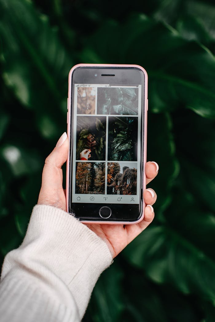 A hand holding a smartphone displaying nature images, set against lush green foliage.